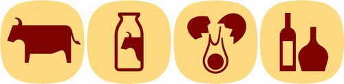 JFS/Food Pictograms Used at APEC SME Summit 2010