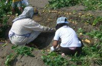 JFS/Local Farms in Usuki