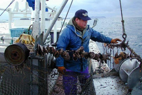 Scallop_Fishery.jpg