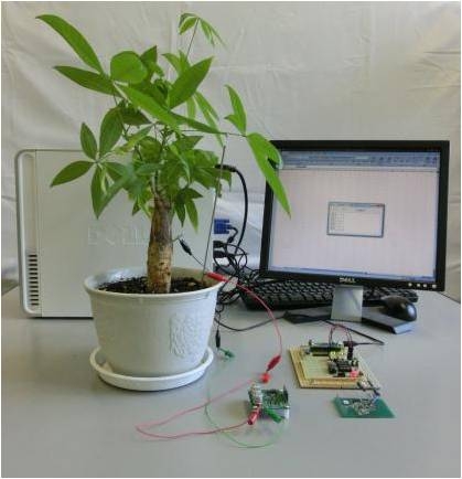 JFS/Ritsumeikan University Develops Self-Powered Plant Monitoring System
