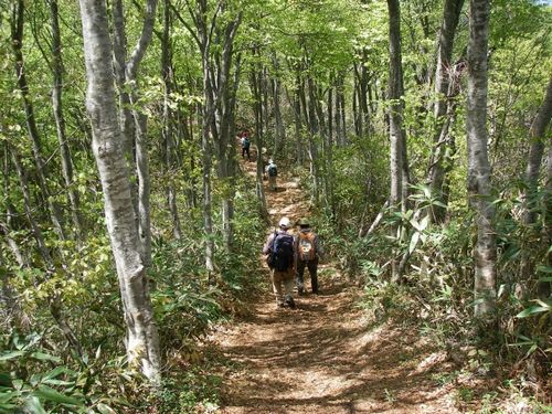 JFS/Shin-Etsu Trail Club Wins Grand Prize at 7th Ecotourism Awards