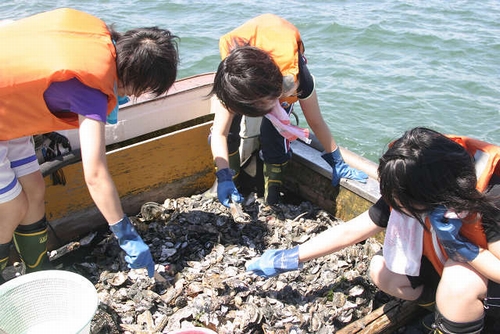 JFS/Girls' High School Wins 2013 Japan Stockholm Junior Water Prize