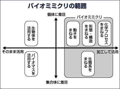 図：バイオミミクリの範囲