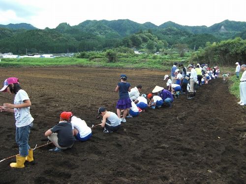 JFS/kids learn farming