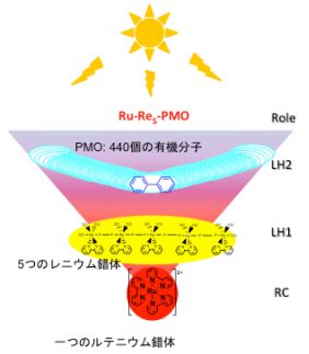 図：人工の葉