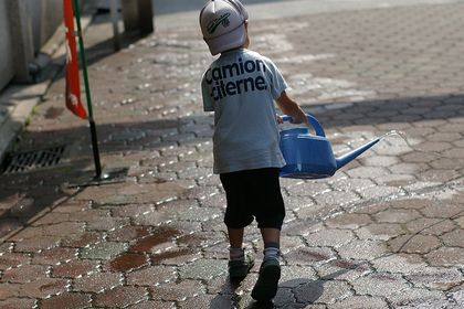 写真：水撒きアリガト