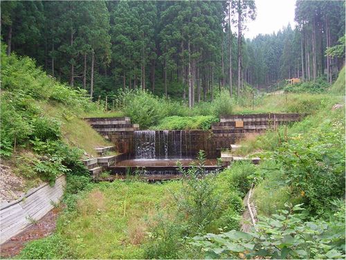 JFS/timber dam